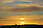 Seagulls in Sunset in Walberswick, Suffolk, England