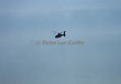 Black Hellicopter in Flight