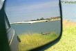 Costa e Silva Bridge - Reflection (Brasilia, Brazil)