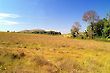 Portal da Chapada, Veadeiros Tableland, Goias, Brazl