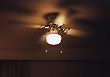 Ceiling fan & Light