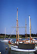 Marina, Deben River, Woodbridge, Suffolk, England