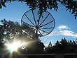 Sattelite Dish Antenna