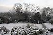 English Garden in the Winter