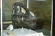 Tyranosaurus Rex Skull