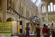 Natural History Museum, London