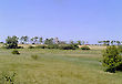 Landscape near Ramsholt, Suffolk, UK