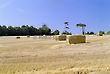 Hay Stack in the fields