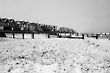 Beach Huts, Southwold, England, 1984