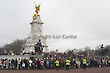 Tourists Waiting, Change of the Guard Parade, Buckingham Palace, London, England