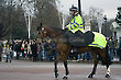 Police Officer on Horse Back, Change of the Guard Parade, Buckingham Palace, London