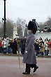 Change of the Guard Parade, Buckingham Palace, London, England