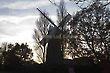 Wind Mill in Sunset, Woodbridge, Suffolk, England