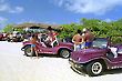 Buggy Rides,Northeast Coast of Rio Grande do Norte, Brazil