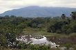 Gold Moutain, Morrinhos, MG, Brazil