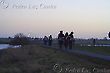 Afternoon Walk by River Deben, Dusk, Woodbridge, Suffolk, England